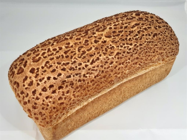 Tijger bruin