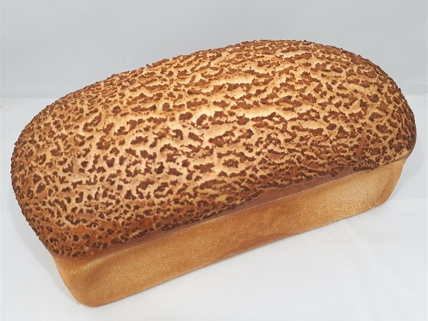 Tijger wit